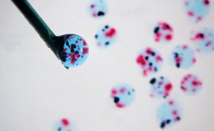 An extreme close-up of the tip of an injection needle, with a drop of nanoclay sitting at the tip.