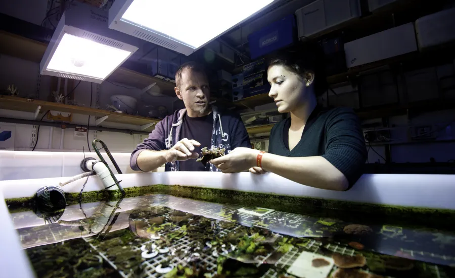 An academic and PhD researcher discussing standing beside an aquarium tank as they examine a specimen from inside.