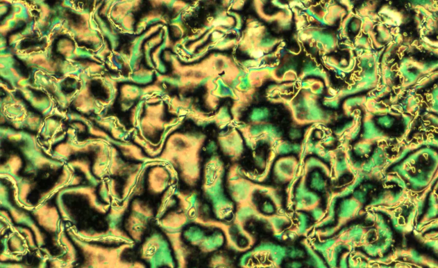 Textures in a mesoscopic system made of a nematic liquid crystal doped with nanoparticles.