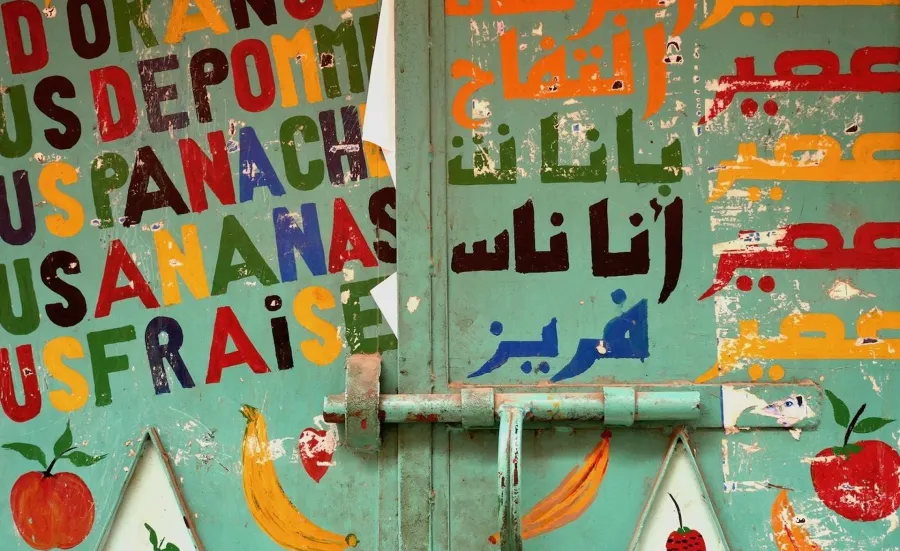 Closed metallic door of a shop with coloured words in French and Arabic about juices