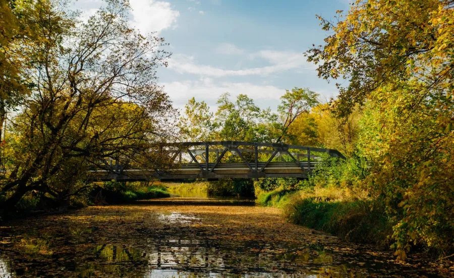 One small wooden bridge over a calm river