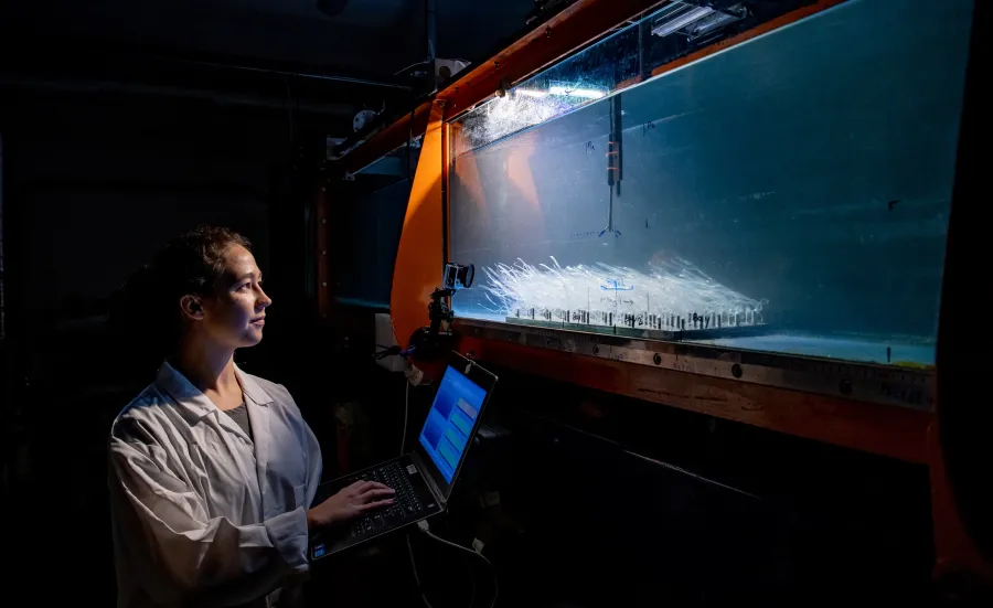 One researcher doing a flume experiment examining flow over seagrass mimics