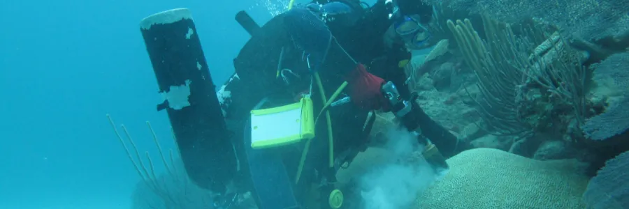 Scuba diver taking coral samples