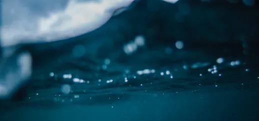 Underwater shot with the surface in view.