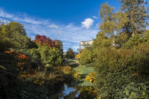 Wide view of Highfield Campus with autumn colours.