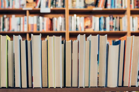 A row of books in a library, with their spines turned away from the viewer