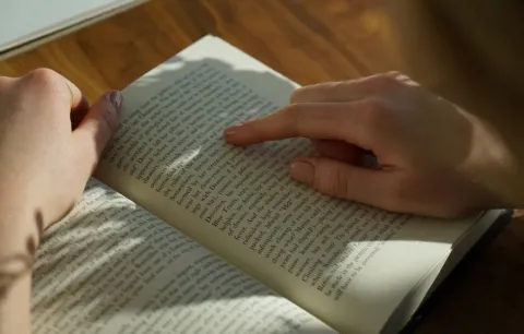 A person reading a book