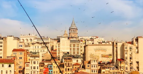 Istanbul skyline, including the famous Galata Tower, with birds soaring above