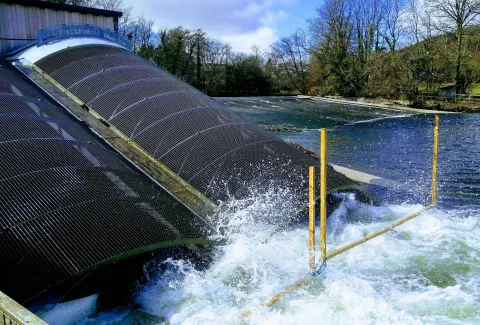 Fish friendly bypass routes on a river used for hydropower