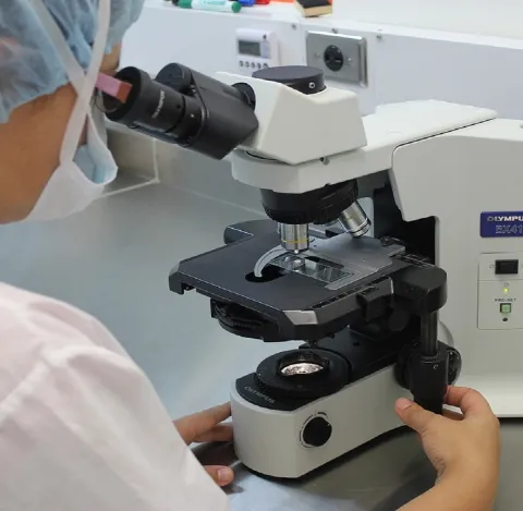 A researcher using a microscope