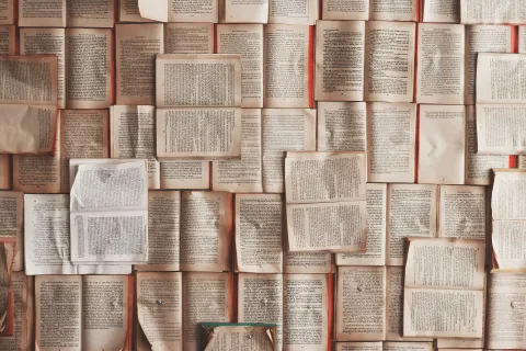 Rows of open books in overhead photo