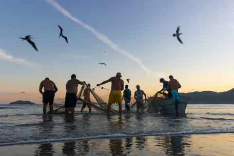 People with fishing nets in water with birds flying overhead.