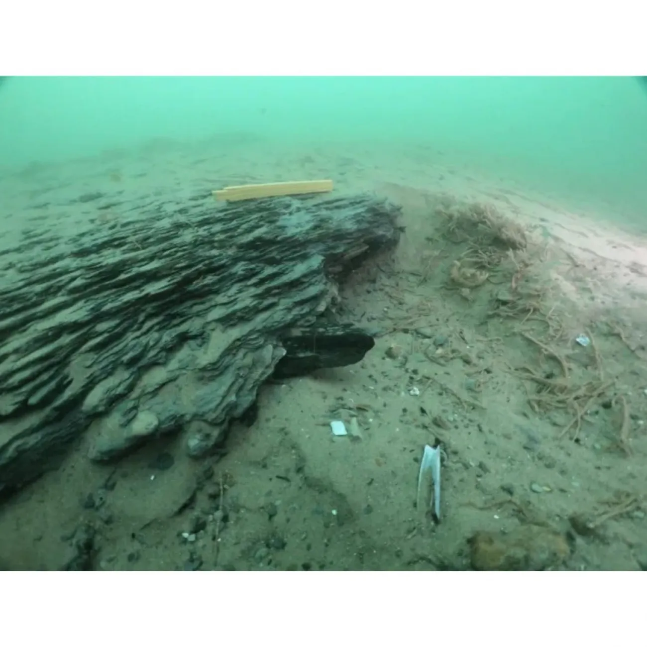 Underwater deposits of the Cromer Forest-bed Formation (Credit: Dan Pascoe)