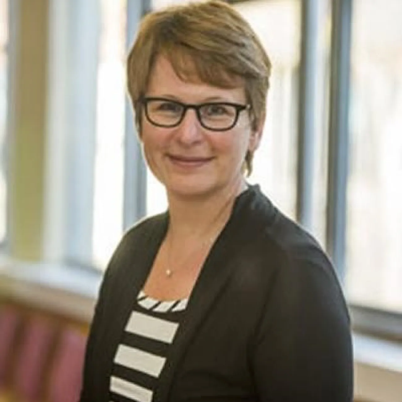 Professor Brigitte Vollmer