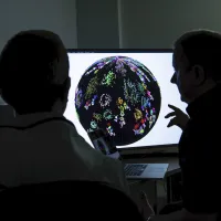 Molecular Phenotyping researchers in front a computer screen