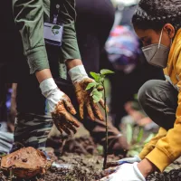 Pexels image of a young person learning how to plant a tree in a forest